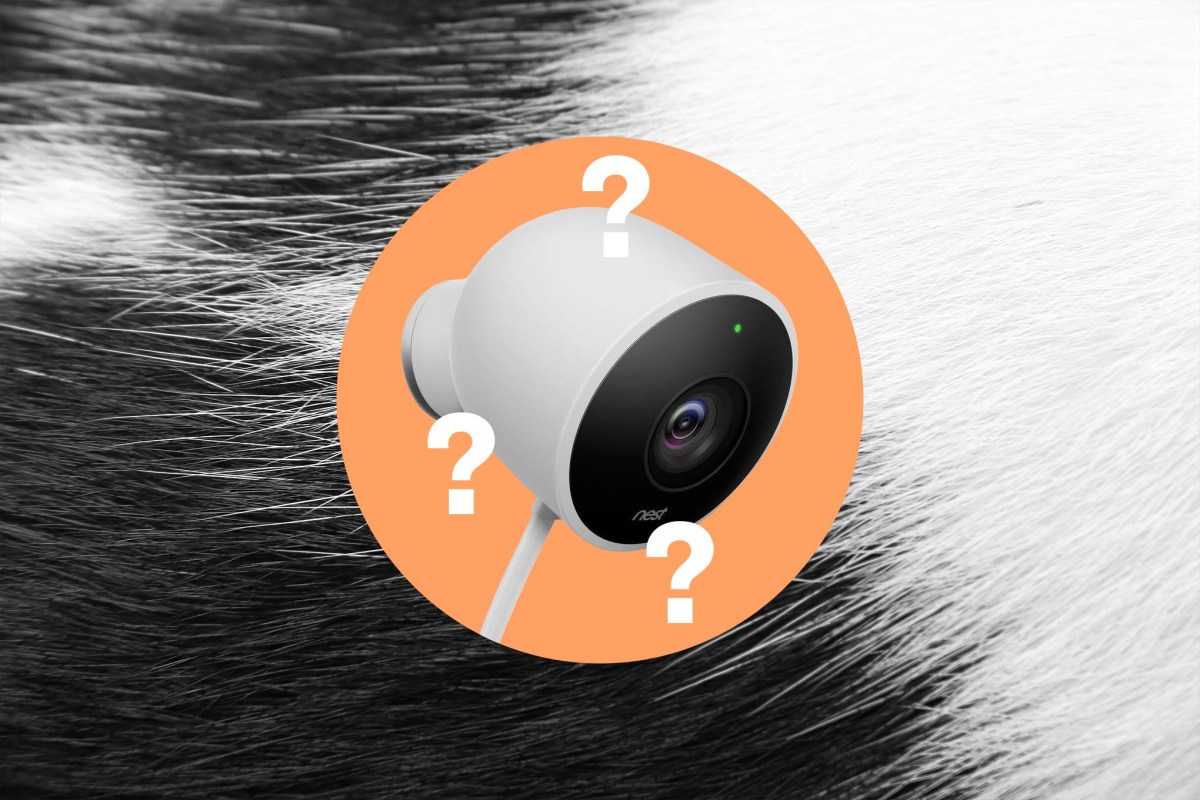 Google Nest 摄像头 Pet Memory 实测翻车:AI 认不出三只猫,智能宠物识别还差点火候封面图